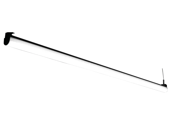 RUBRA